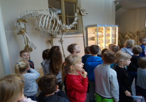 Dzieci oglądają szkielety zwierząt.